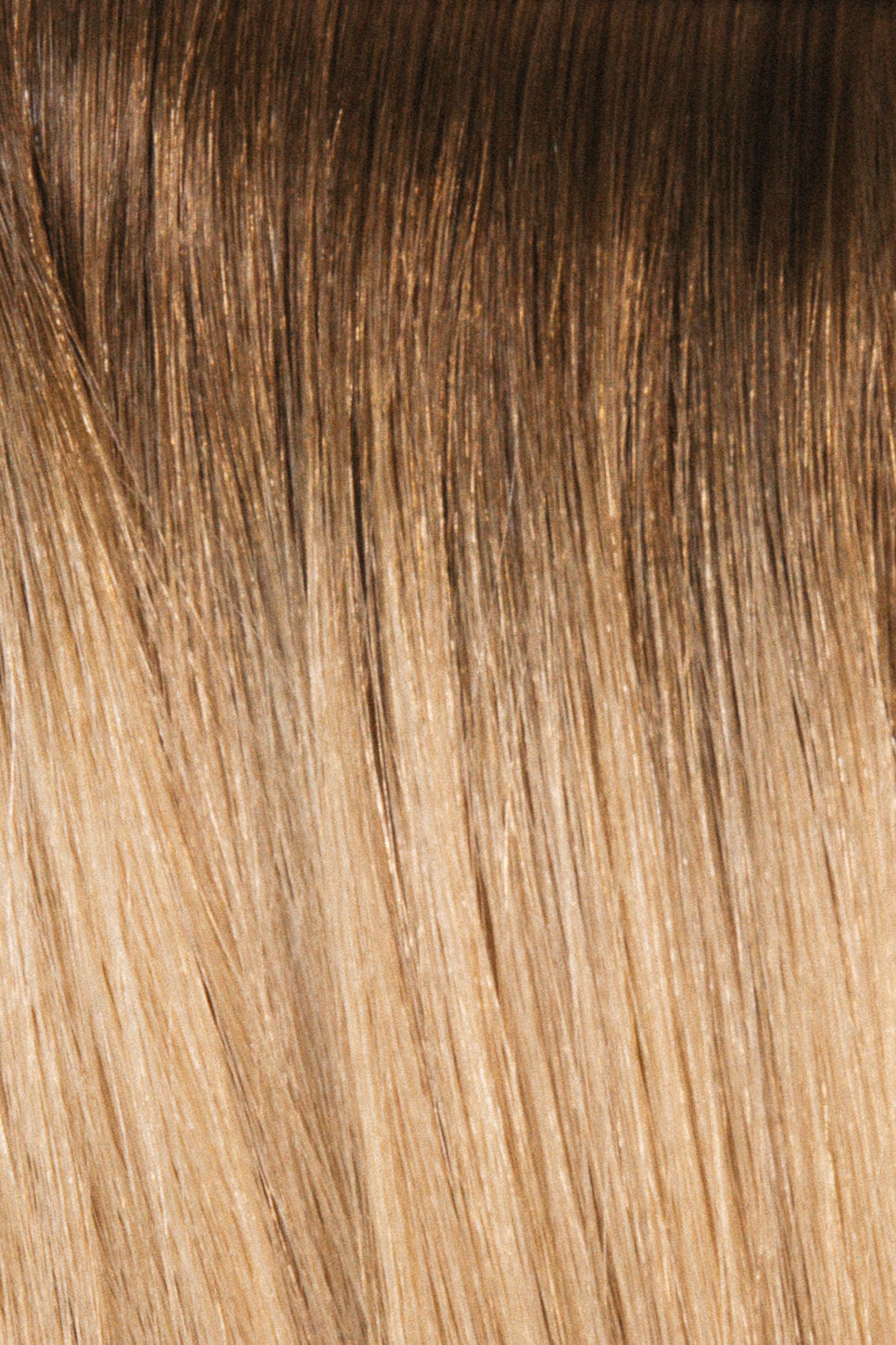 Sunset Glow - Keratin Bonds