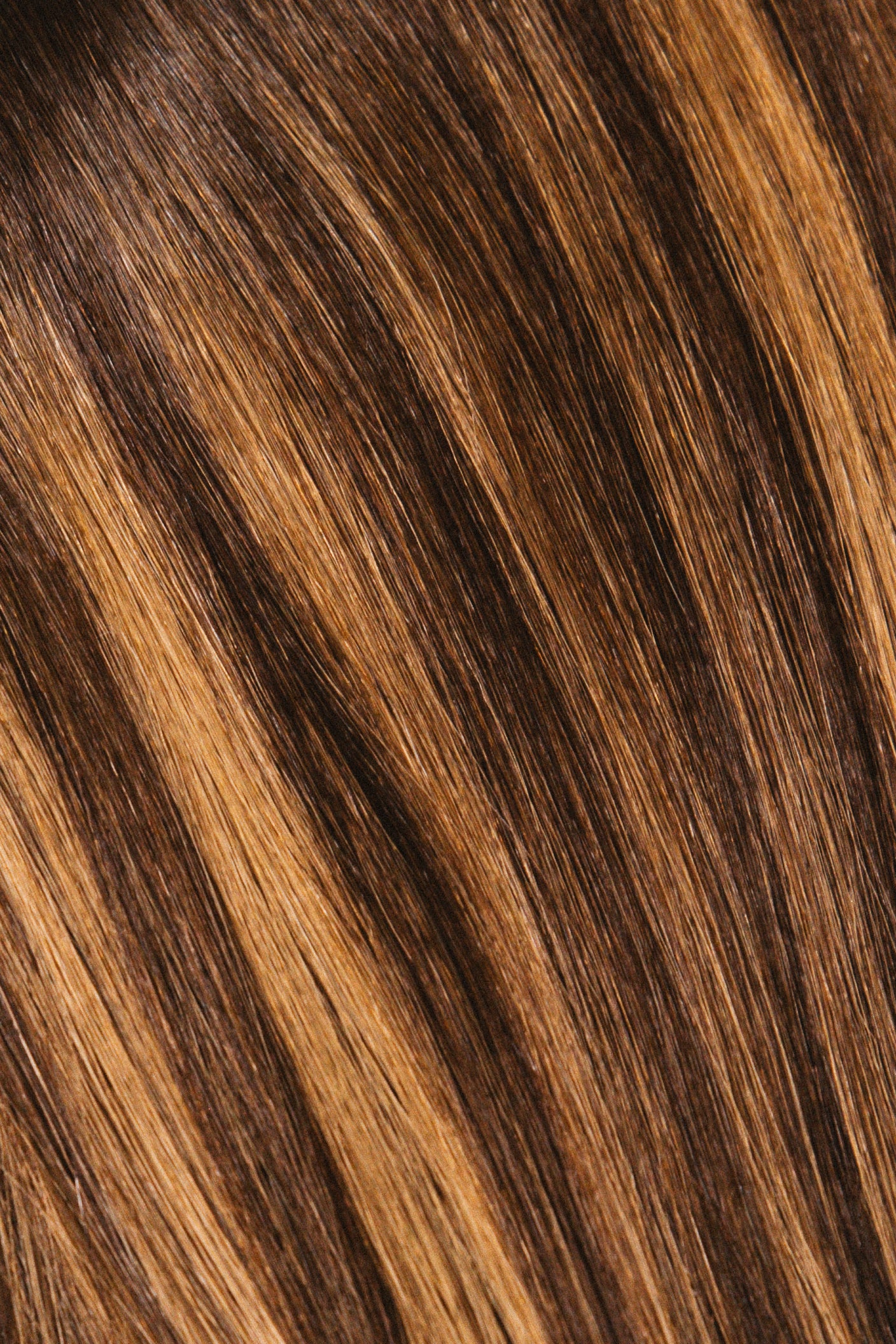 Bronde Babe - Keratin Bonds