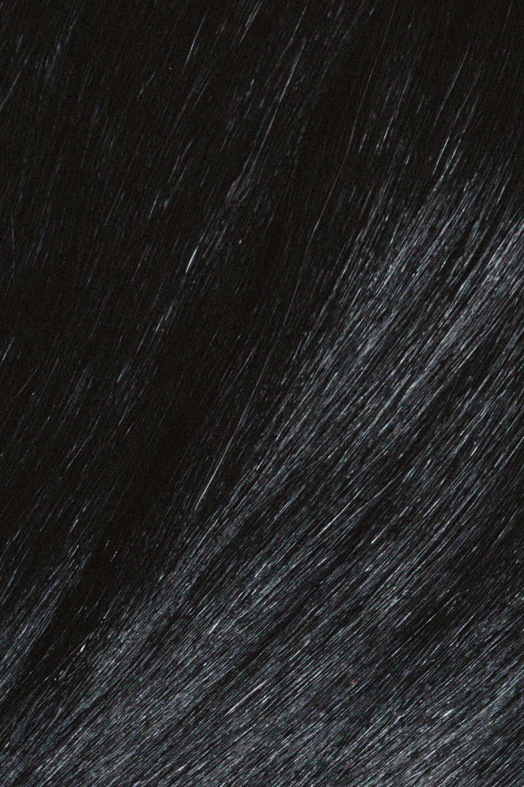 Butterfly Wefts (*NEW!*)