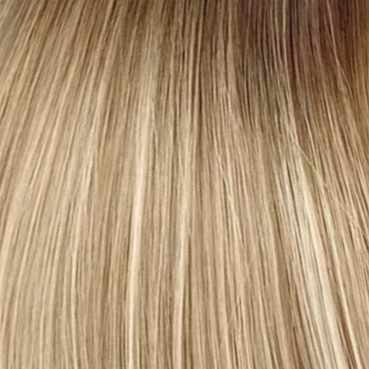 Golden Hour - Luxe Clip-Ins