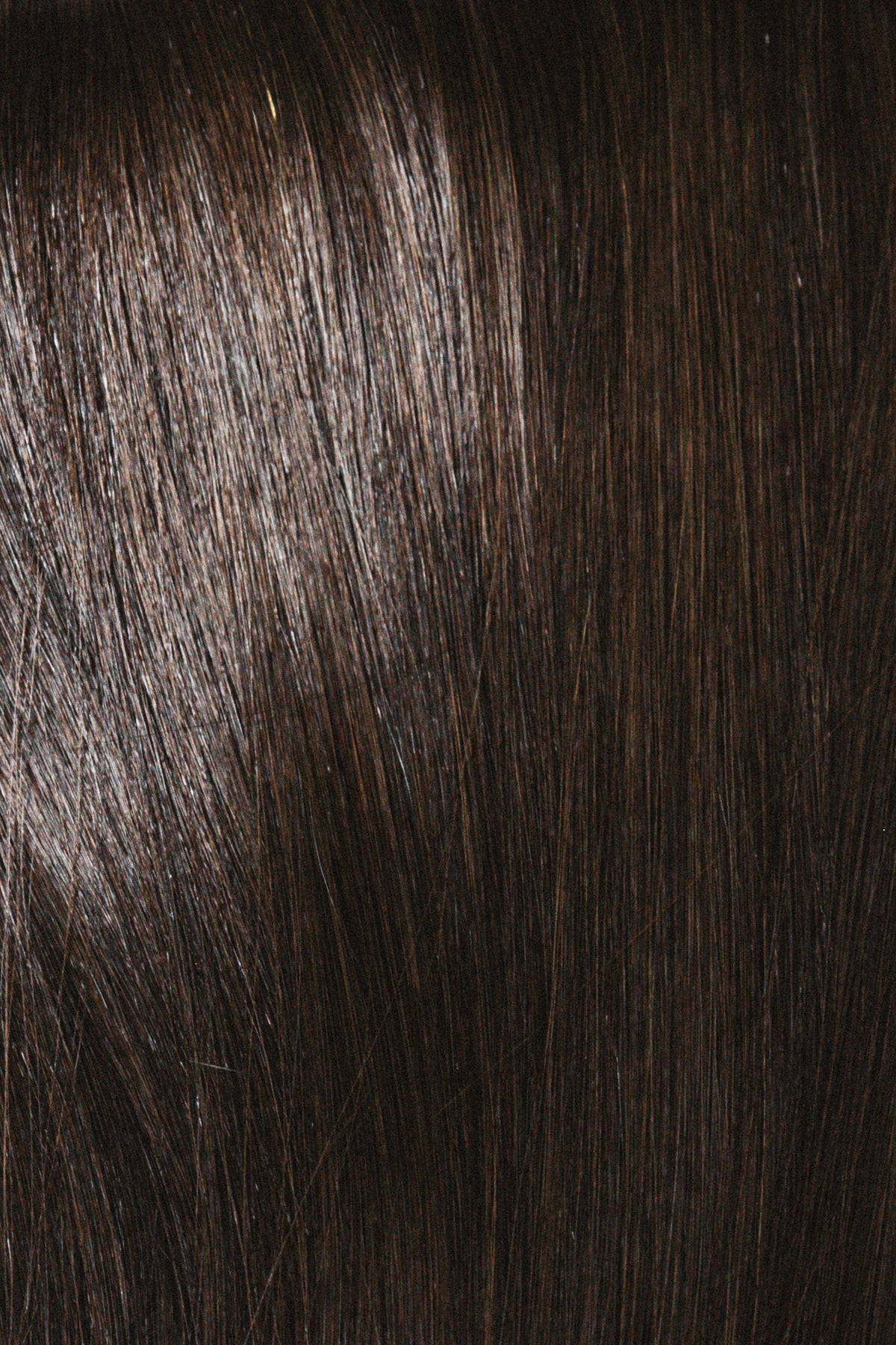 Butterfly Wefts (*NEW!*)